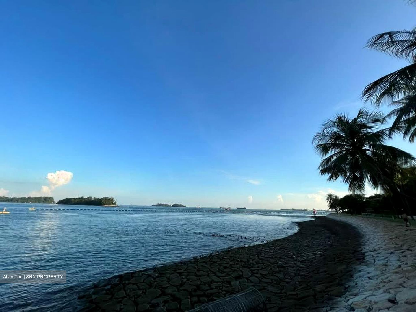 Ocean Drive (D4), Detached #553911881